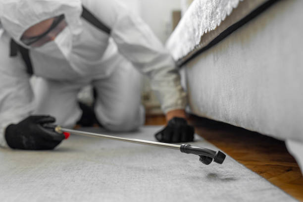Professional Bed Bug Control technician working in Roseville, OH