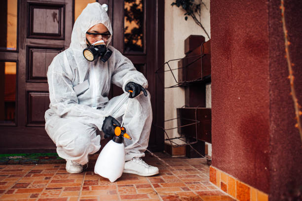 Reliable Bed Bug Control contractor in Roseville, OH by Nex Pest Control