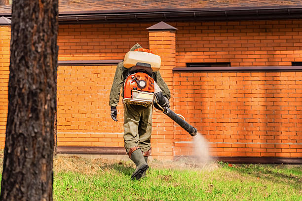 Trusted Cockroach Control service in Roseville, OH - Nex Pest Control